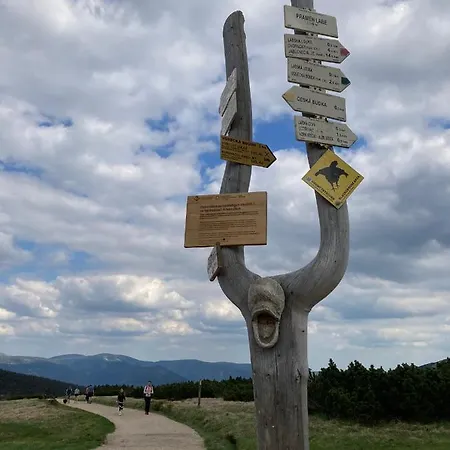 Michael Appartamento